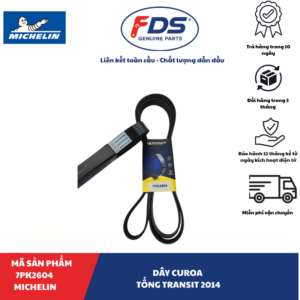 Dây curoa tổng Ford Transit 2014